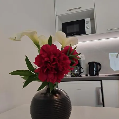 Mara Apartament *