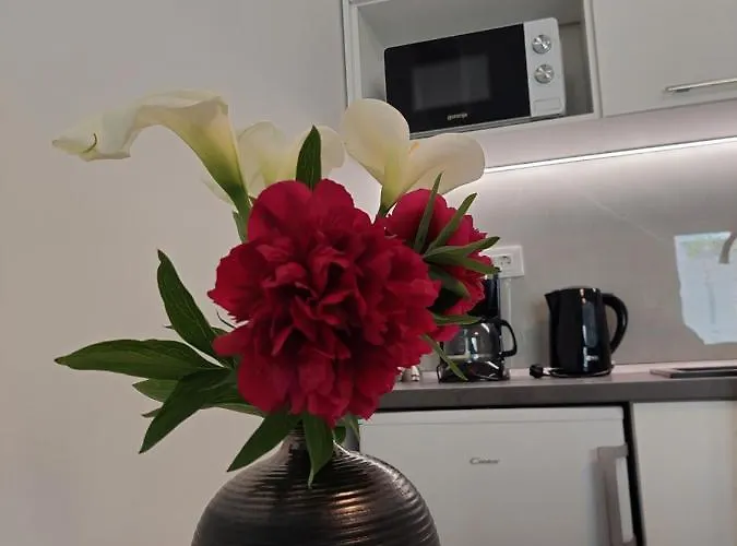 Mara Διαμέρισμα *